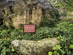 -宋井风景区