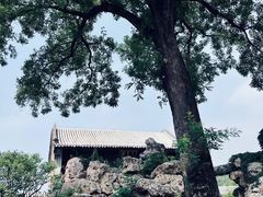 -颐和园