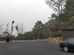 -杭州半山国家森林公园