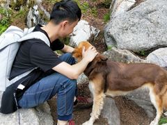 -布道石