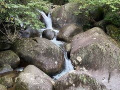 -大围山国家森林公园