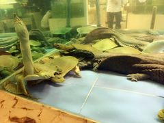 -旺顺阁海鲜广场(亚运村店)