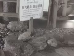 -河北霸州茗汤日月潭温泉