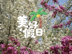 -济南植物园