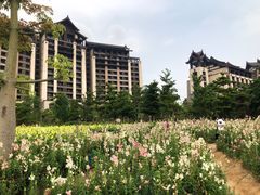 -清远熹乐谷温泉度假酒店