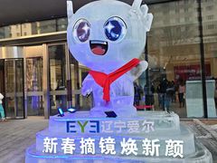 -东北大学附属辽宁爱尔眼科医院