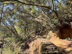 -青芝山风景名胜区