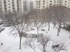 -天通西苑三区