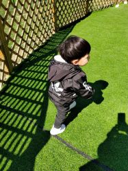 兔子乐园-萌宠亲子动物乐园(槐房万达店)