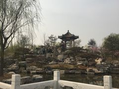 -武清南湖绿博园