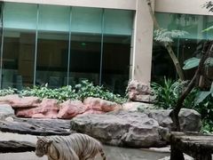 -麒麟中餐厅·经典粤菜·地道菜式老字号(广州长隆酒店)