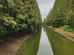 -黄海国家森林公园