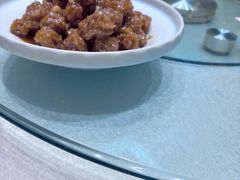 -百年家风·老馆子(东风店)