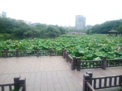 -金山公园