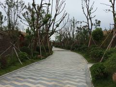 -宁波杭州湾海底温泉