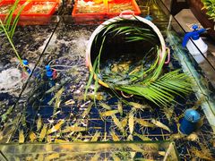 -79号渔船海鲜饭店(华强北店)