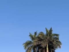 -万绿园