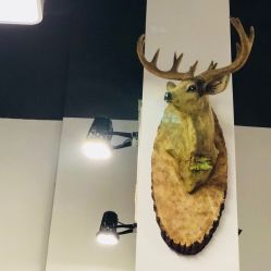 -Moyue HAIR SALON