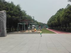 -广东茂名森林公园