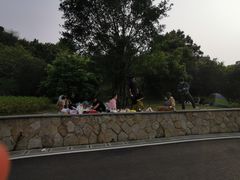 -飞凤山奥体公园