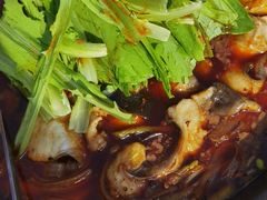 麻辣石锅鱼-都江堰石锅鱼
