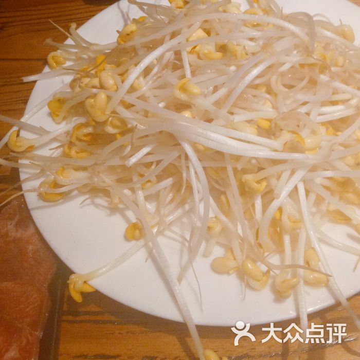 天成火锅(万体馆店)-豆芽图片-上海美食-大众点评网