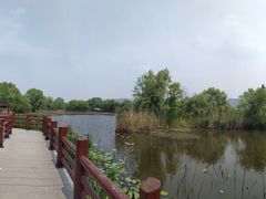 -长兴太湖图影湿地文化园