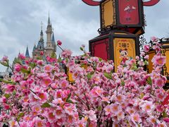 -上海迪士尼度假区