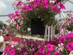 -漫花庄园