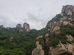 -大岭沟猕猴桃谷风景区