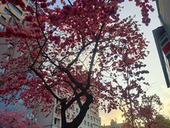 -昆明动物园