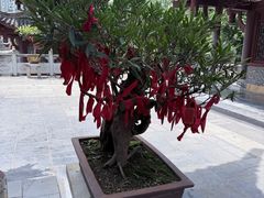 -黔明古寺