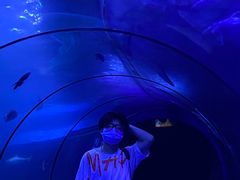 -左海海底世界