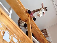 -长颈鹿咖啡(大学路店)