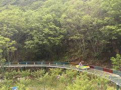 -十渡东湖港风景区