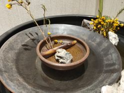 -铂诗玥医美