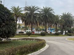 -府河摄影公园