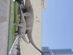 -安徽省地质博物馆