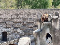 -哈尔滨北方森林动物园