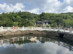 -白马涧龙池景区