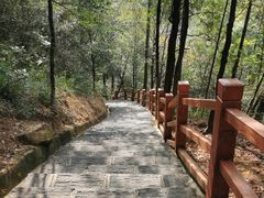 -广州白江湖森林公园