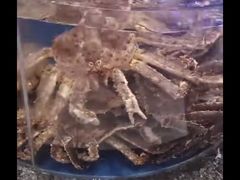 -新海渔港·胶东海鲜家常菜·家宴(奥体中心店)