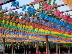 -泰达航母主题公园