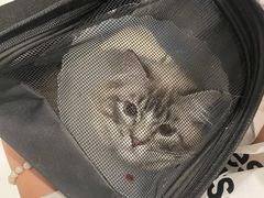 -北京恒爱动物医院(清景园分院)