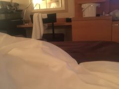 -新高轮格兰王子大酒店