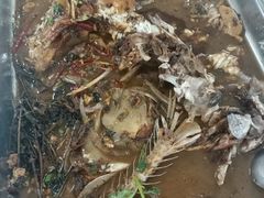 -庆岭迎宾园正宗活鱼馆