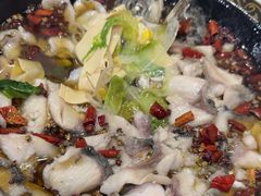 -金三可市井水煮鱼(金碧园店)