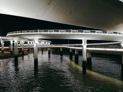 -演武大桥观景平台