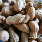味极鲜、生抽、蚝油、十三香、花生油、香油、盐