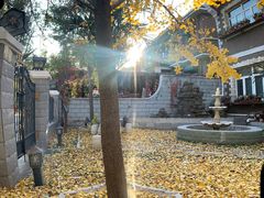 -天津五大道文化旅游区